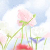 你能吃什么苦瓜?