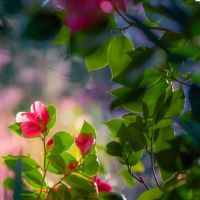 超重,这些血型男人是爱的主人