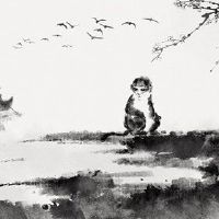 在2023年,小子猴在3月抢劫。