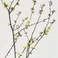 2022年五一劳动节假期期间出行旅游的吉日 五一出游准备事项