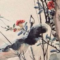 客厅摆什么花好风水 红掌转运又旺家