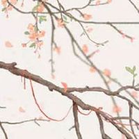 生辰八字查仙缘佛缘 命中有太极贵人慧根极高