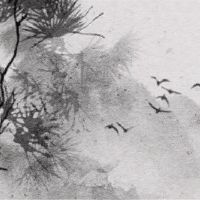 出生于海的男孩是一个好运。