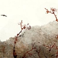 2022寅戌sanhe fire开放图书馆如何看