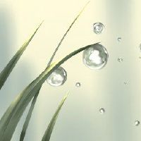 白璐被称为“社交日”白武故事的牺牲的土地。