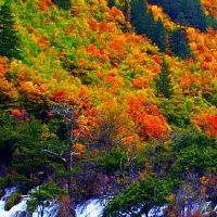 女人王府,过多的八个字?