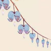 凡是大人物都天上的星宿下凡 神仙转世七星护体