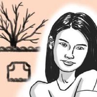 有成就的女性面孔取决于决定性的工作