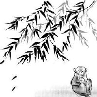 2023年,猴子正在变化,大事