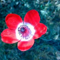 来到人群!等待12个星座