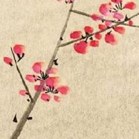 94年属狗男2022姻缘 今年婚姻运如何