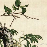 从哪几个方面找到公墓风水地