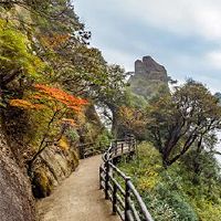 如何在2022年解决太老了?