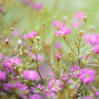 什么是2022?用红色绳子?