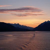 2022年,最严重的黄道带,不是老虎。