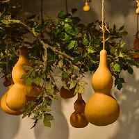 邪恶的精神是什么?我们可以做什么?