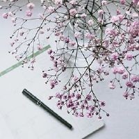 麦玲玲批评了2022年理解Mikou的方法