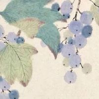 招财鲤鱼纹身图案大全 鲤鱼纹身的讲究