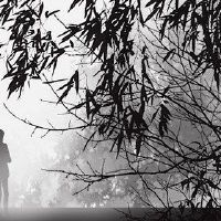 最甜蜜,温暖的地球,感情,甜味和酥脆的话语