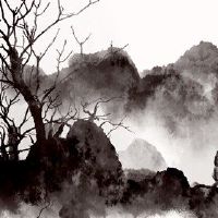 1980年,一只猴子在2002年12月进行了每月财富。