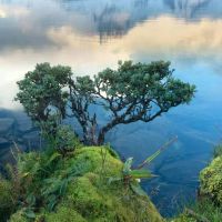 如何命名在3月出生的男孩