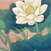 L可以出现在车牌里面吗 字母L向上有利官运