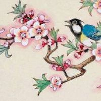 车牌号码尾数9吉利吗 数字9结尾带来收益