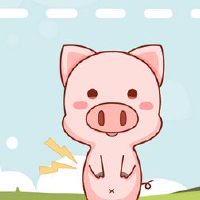 1995年属于猪寿命,33岁,33岁