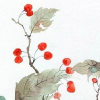 谷雨前后出生的人的命运 福缘深厚一生富有