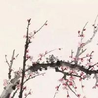 2022年5月下旬出生的宝宝是男孩还是女孩 下半月出生宝宝哪天好