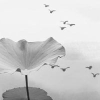 2022年4月19日出生的男孩命好吗 脚踏实地 终身福厚