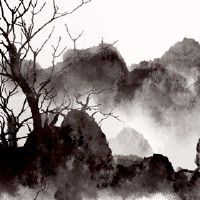 92年猴2022年运势如何男 积极态度对待工作