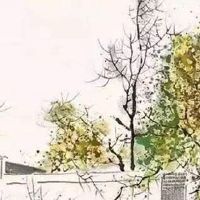 2022年4月22日出生属虎女孩是什么命 贵人扶助 晚景亨通