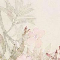 2022年4月24日出生的女宝宝命理好不好 荣华富贵 招四方财