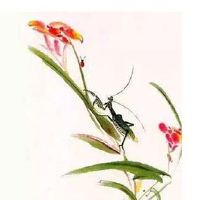 2022年4月21日出生的女孩子生辰八字性格详解 勇于向上 事业有成