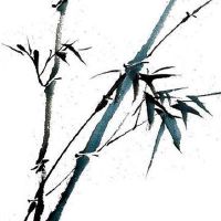 2022年4月23日出生属虎男宝宝是什么命 婚姻吉利 招财旺财