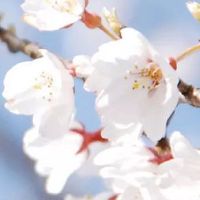 水产公司起什么名字好 最新高级水产企业起名大全