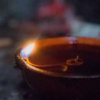 九星照命中金星照命怎么解释?