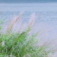 受伤的官员是几层,八个角色伤口的含义是什么?