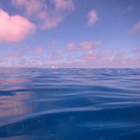 男士名称格式出生于2019年9月18日的丑陋时间