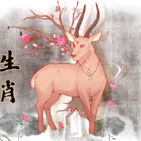 黄道带真皮2023数据分析