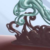 睡觉的花是什么?你能放一个房间吗?