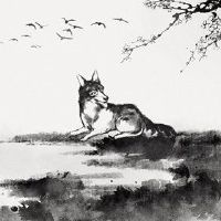 在2022年的狗人中发生了三个快乐的爱情职业健康