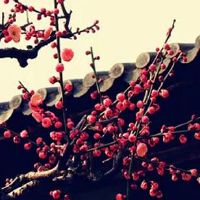 2022年4月生肖羊幸运数字是几 幸运色是黄色