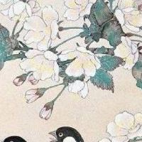 5555是吉利数字吗 精选旺财手机号