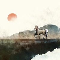 这匹马将于2022年5月,幸运的最佳财富