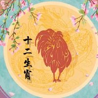 是鸡肉和牛的婚姻吗?