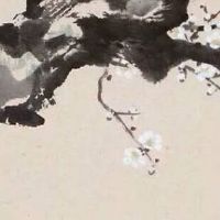 仙女转世的女孩有什么特点 怎样查自己是哪种仙缘