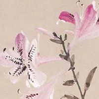 2022年五月芒种虎宝宝好不好 6月6日芒种出生孩子是什么命