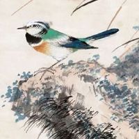 2022虎宝宝阳历几月出生命最好 今年几号生属虎运势最佳